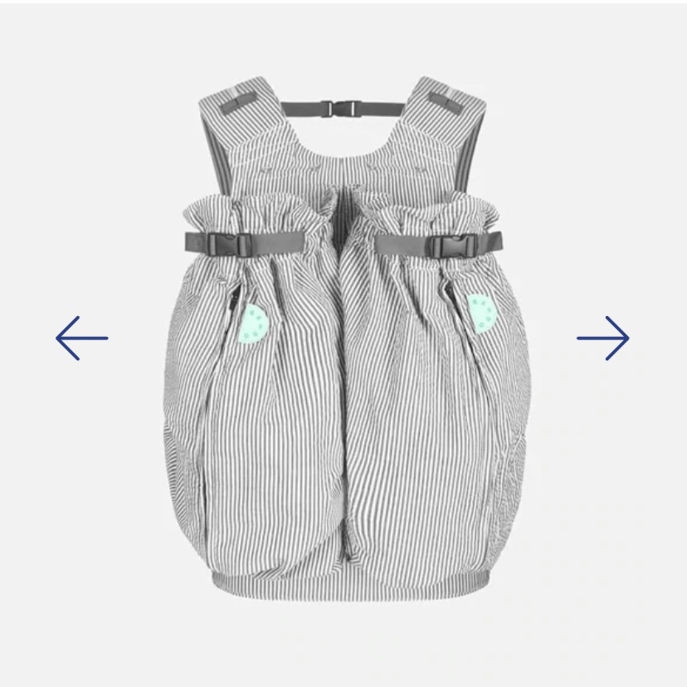 Weego Twin Carrier
